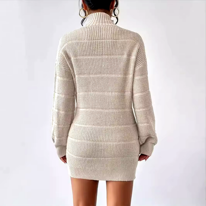 Cleo Knit Turtleneck Dress