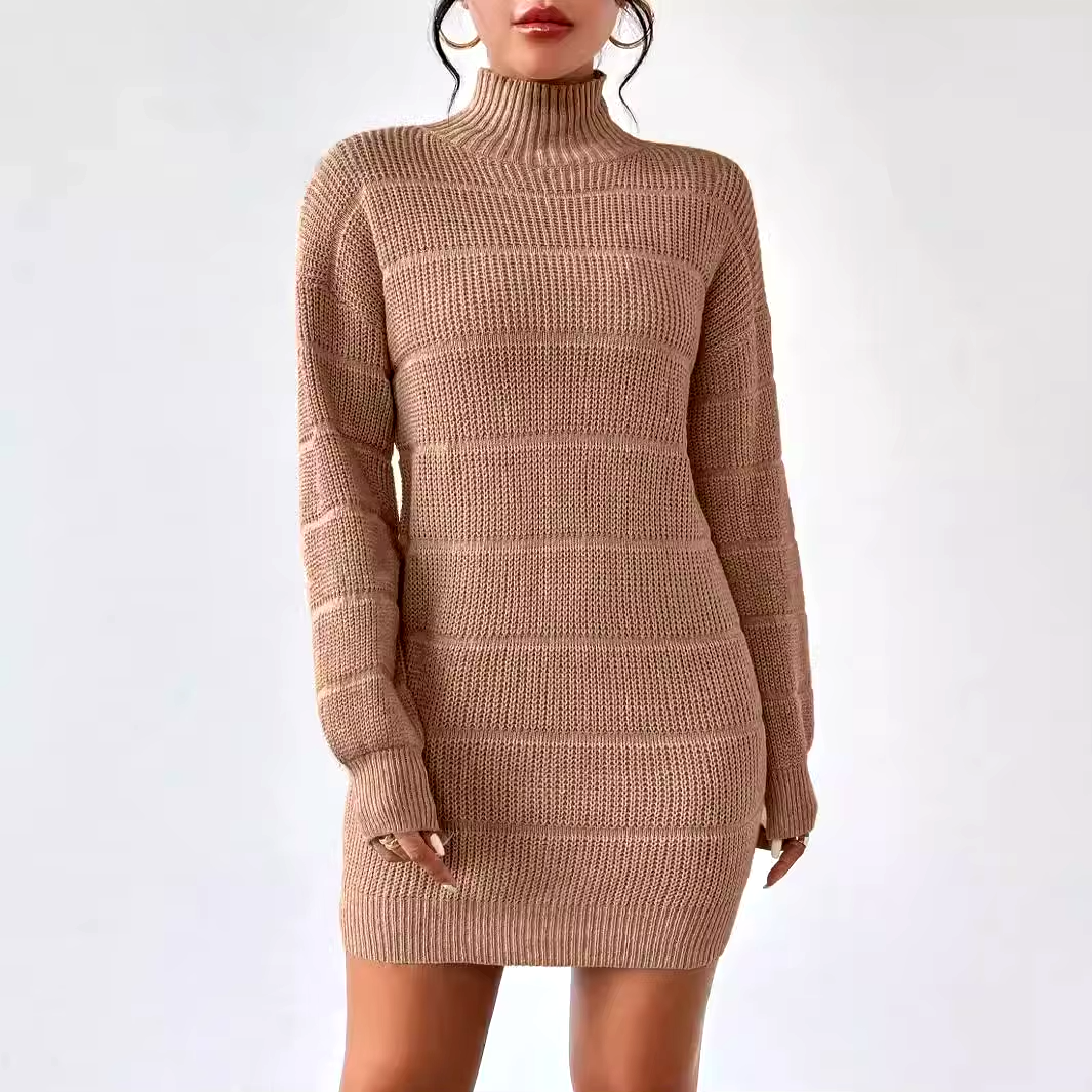 Cleo Knit Turtleneck Dress