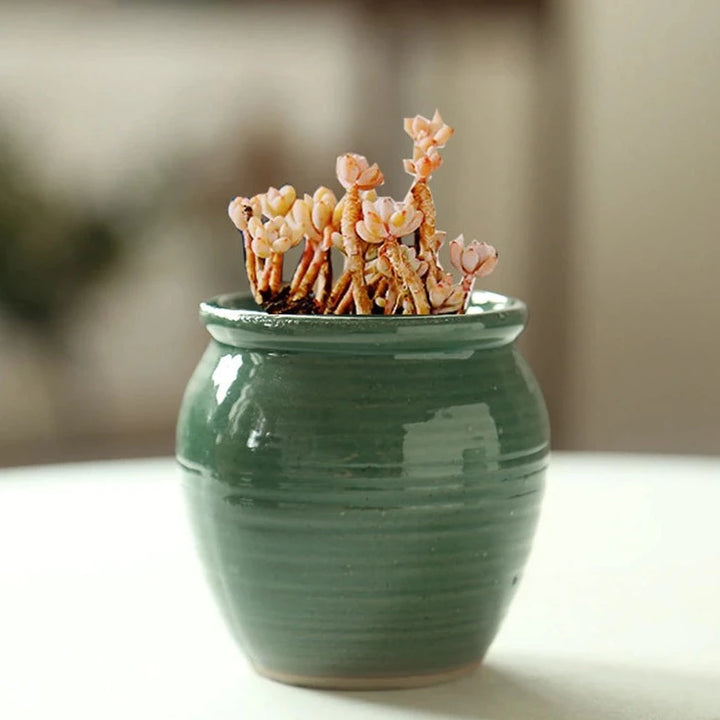Glazed Romeo Succulent Pot