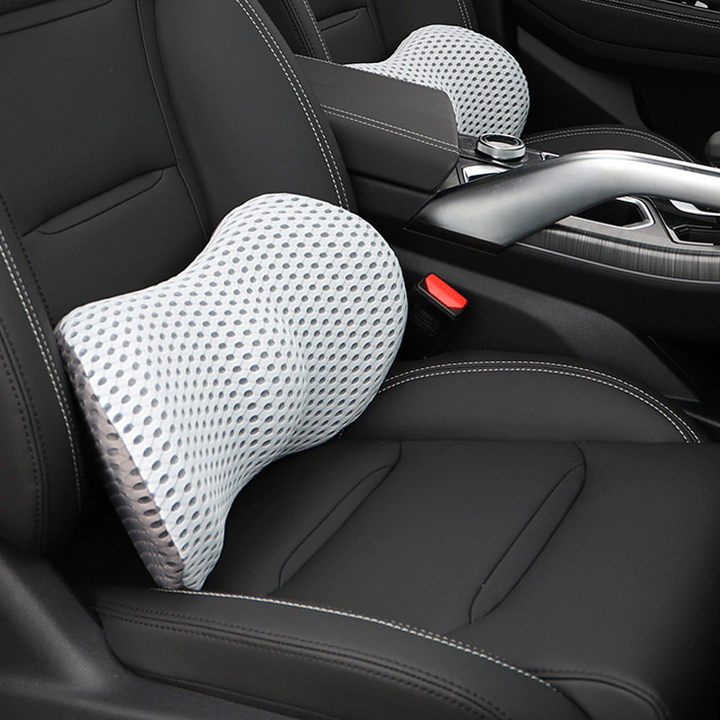 Mesh Car Pillow